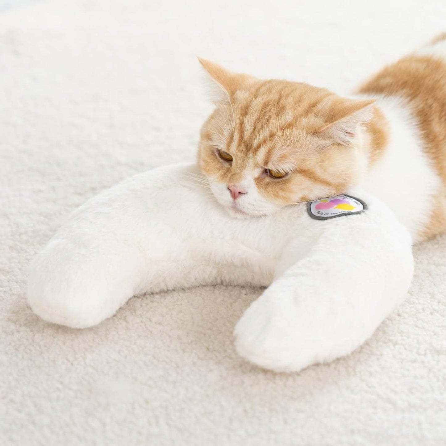 U-Shaped Orthopedic Pet Pillow