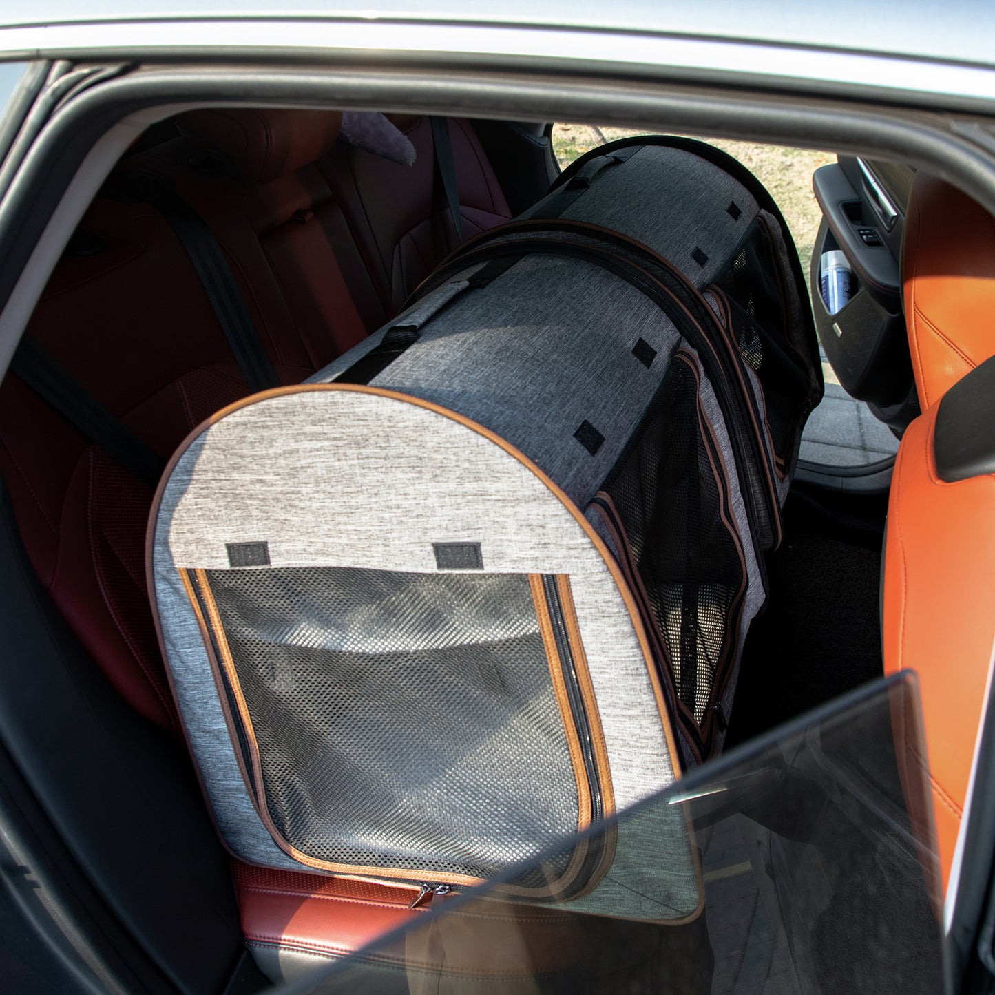 Portable Soft-Sided Pet Carrier