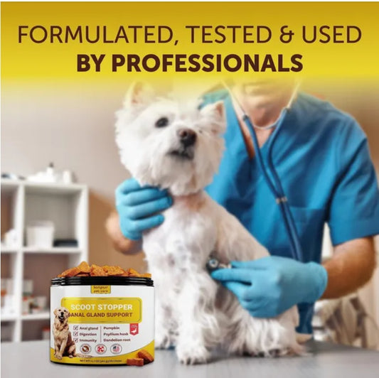 Soft Chews for Dog