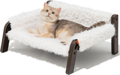 Raised Cat Bed For Indoor Cats