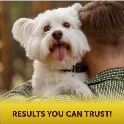 Soft Chews for Dog