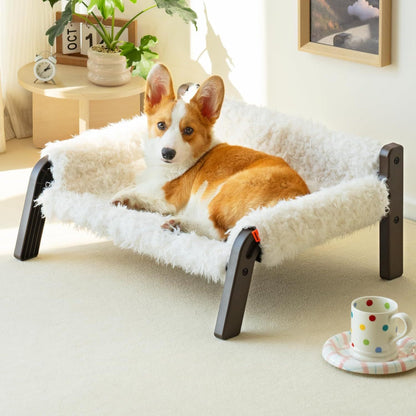 Raised Cat Bed For Indoor Cats